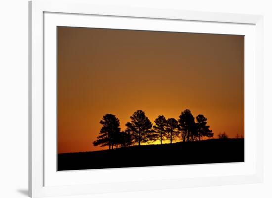 Orange Sky at Dawn, Custer State Park, South Dakota, United States of America, North America-James Hager-Framed Photographic Print