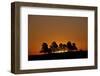 Orange Sky at Dawn, Custer State Park, South Dakota, United States of America, North America-James Hager-Framed Photographic Print