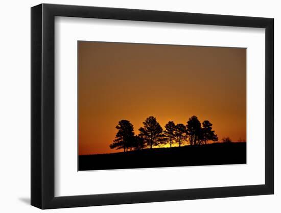 Orange Sky at Dawn, Custer State Park, South Dakota, United States of America, North America-James Hager-Framed Photographic Print