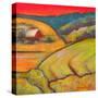 Orange Sky Farm-Blenda Tyvoll-Stretched Canvas