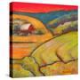 Orange Sky Farm-Blenda Tyvoll-Stretched Canvas