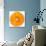 Orange Slice-Steve Gadomski-Photographic Print displayed on a wall