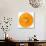 Orange Slice-Steve Gadomski-Photographic Print displayed on a wall