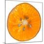 Orange Slice-Steve Gadomski-Mounted Photographic Print