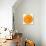 Orange Slice-Steve Gadomski-Photographic Print displayed on a wall