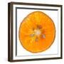 Orange Slice-Steve Gadomski-Framed Photographic Print