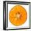 Orange Slice-Steve Gadomski-Framed Photographic Print