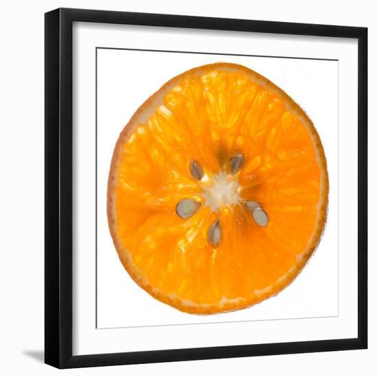 Orange Slice-Steve Gadomski-Framed Photographic Print