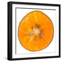 Orange Slice-Steve Gadomski-Framed Premium Photographic Print