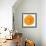 Orange Slice-Steve Gadomski-Framed Premium Photographic Print displayed on a wall