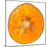 Orange Slice-Steve Gadomski-Mounted Premium Photographic Print