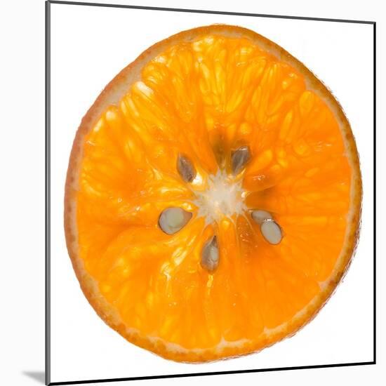 Orange Slice-Steve Gadomski-Mounted Premium Photographic Print