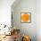 Orange Slice-Steve Gadomski-Framed Stretched Canvas displayed on a wall