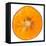 Orange Slice-Steve Gadomski-Framed Stretched Canvas