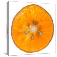 Orange Slice-Steve Gadomski-Stretched Canvas