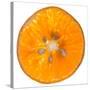 Orange Slice-Steve Gadomski-Stretched Canvas