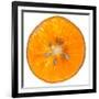 Orange Slice-Steve Gadomski-Framed Photographic Print