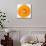 Orange Slice-Steve Gadomski-Mounted Photographic Print displayed on a wall