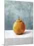 Orange Solo-Mark Chandon-Mounted Giclee Print