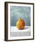 Orange Solo-Mark Chandon-Framed Giclee Print