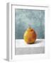 Orange Solo-Mark Chandon-Framed Giclee Print