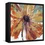 Orange Splash I-Tim OToole-Framed Stretched Canvas