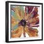 Orange Splash II-Tim OToole-Framed Art Print