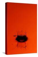 Orange Splash-Steve Gadomski-Stretched Canvas