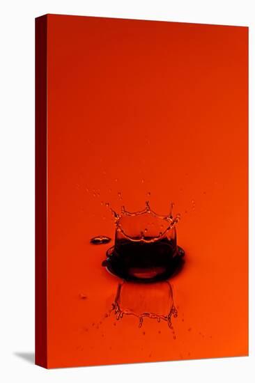 Orange Splash-Steve Gadomski-Stretched Canvas