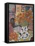 Orange Straw Flowers-Lorraine Platt-Framed Stretched Canvas