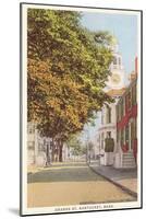 Orange Street, Nantucket, Massachusetts-null-Mounted Art Print