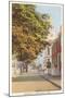 Orange Street, Nantucket, Massachusetts-null-Mounted Art Print