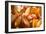 Orange Succulent-bolkan73-Framed Photographic Print