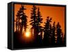 Orange Sunset in the Wilderness Around Mt. Jefferson, Oregon Cascades, USA-Janis Miglavs-Framed Stretched Canvas