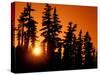 Orange Sunset in the Wilderness Around Mt. Jefferson, Oregon Cascades, USA-Janis Miglavs-Stretched Canvas