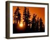 Orange Sunset in the Wilderness Around Mt. Jefferson, Oregon Cascades, USA-Janis Miglavs-Framed Premium Photographic Print
