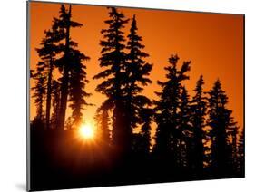 Orange Sunset in the Wilderness Around Mt. Jefferson, Oregon Cascades, USA-Janis Miglavs-Mounted Premium Photographic Print