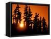 Orange Sunset in the Wilderness Around Mt. Jefferson, Oregon Cascades, USA-Janis Miglavs-Framed Stretched Canvas