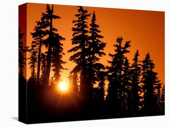 Orange Sunset in the Wilderness Around Mt. Jefferson, Oregon Cascades, USA-Janis Miglavs-Stretched Canvas