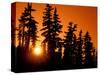 Orange Sunset in the Wilderness Around Mt. Jefferson, Oregon Cascades, USA-Janis Miglavs-Stretched Canvas