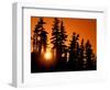 Orange Sunset in the Wilderness Around Mt. Jefferson, Oregon Cascades, USA-Janis Miglavs-Framed Photographic Print