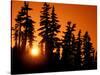 Orange Sunset in the Wilderness Around Mt. Jefferson, Oregon Cascades, USA-Janis Miglavs-Stretched Canvas