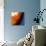 Orange Swirling Abstract, c.2008-Pier Mahieu-Premium Giclee Print displayed on a wall