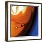 Orange Swirling Abstract, c.2008-Pier Mahieu-Framed Premium Giclee Print