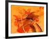Orange Sword-Ruth Palmer 3-Framed Art Print