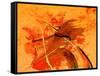 Orange Sword-Ruth Palmer 3-Framed Stretched Canvas