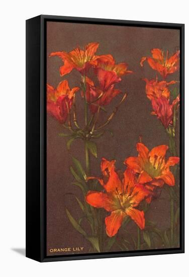 Orange Tiger Lilies-null-Framed Stretched Canvas