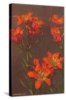 Orange Tiger Lilies-null-Stretched Canvas