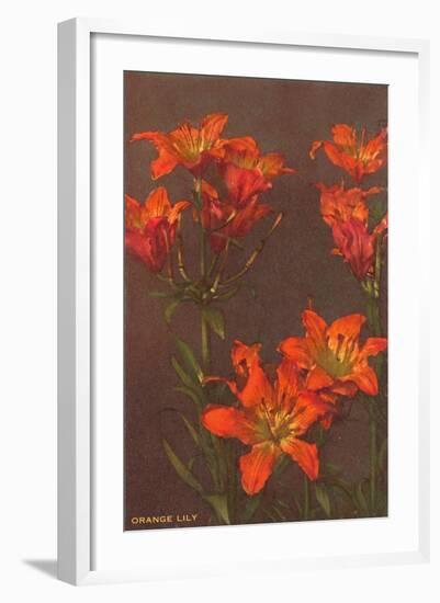 Orange Tiger Lilies-null-Framed Art Print
