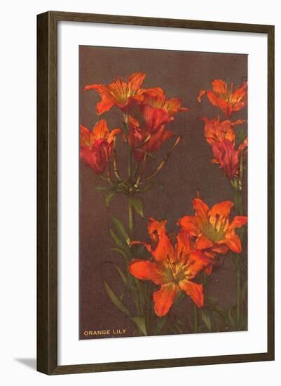 Orange Tiger Lilies-null-Framed Art Print